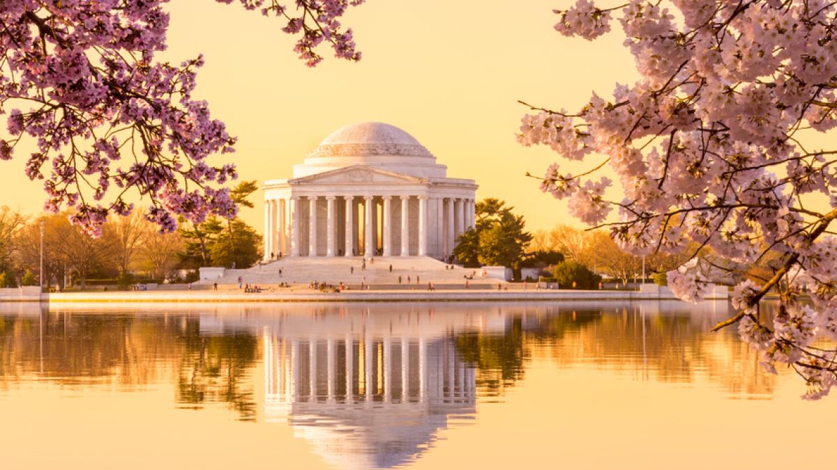 Jefferson Memorial with cherry blossoms
