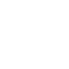 Flag icon