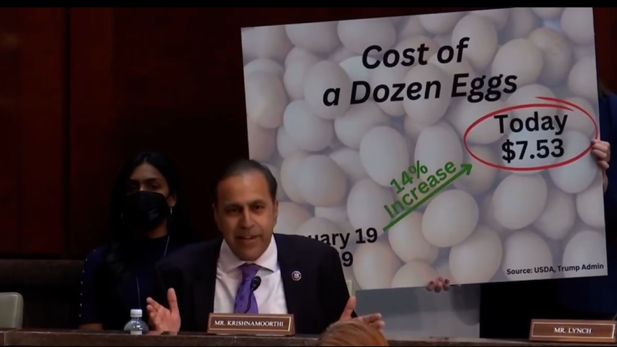 Raja Krishnamoorthi